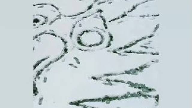 我发布了一个新视频，快来围观吧！