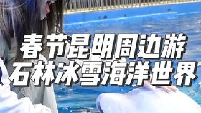 #昆明 龙年的春节，只要你也是小龙龙就可以玩冰雪世界哦～#亲子游玩好去处 #开启龙年逛吃新旅程 #周