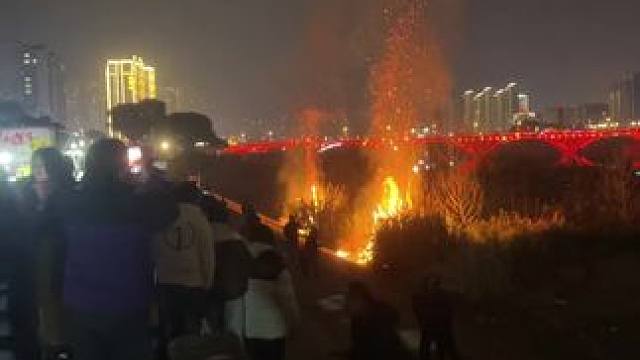 我发布了一个新视频，快来围观吧！