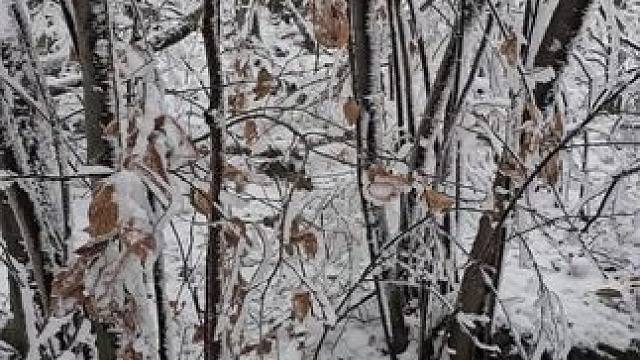 我说我今天在紫金山荒野求生，没毛病吧
#紫金山 #户外 #冬天该有的样子 #现场实拍 #南京