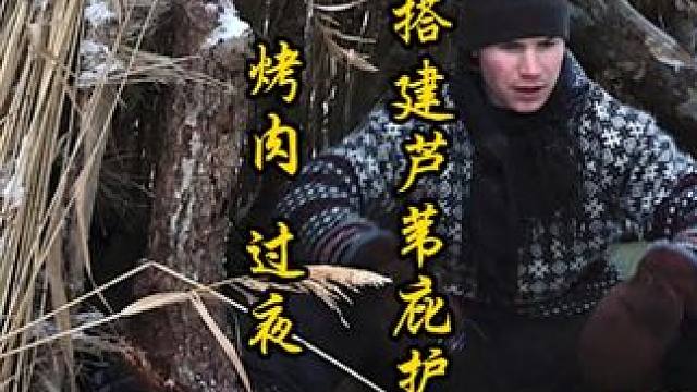 毛衣哥搭建芦苇庇护所露营 烤肉 过夜 #野外生存 #荒野求生 #荒野生存 #野外生存#助眠