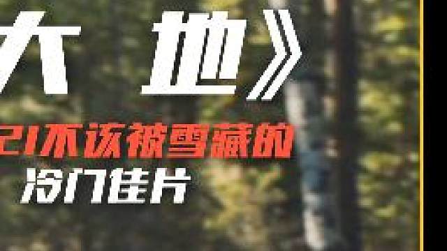 2021不该被雪藏的冷门佳片，女版荒野求生，拍给孤独的人看的《大地》  #大地  #电影解说