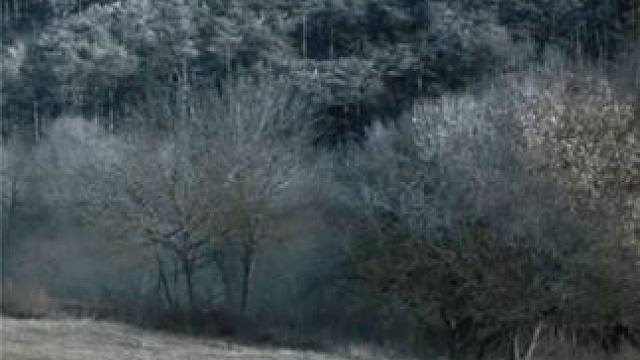 挟持国王当人质，谁有这人胆子大 #孤国春秋  #历史  #战争 #古代 #美剧