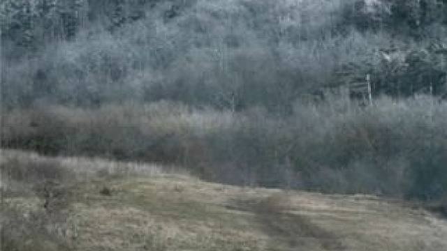 挟持国王当人质，谁有这人胆子大 #孤国春秋  #历史  #战争 #古代 #美剧