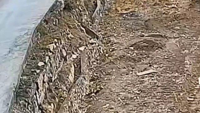 婚车司机心不在焉了哈哈