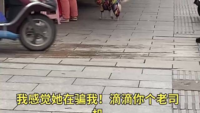 今天没下雨，好多人出来走动走动