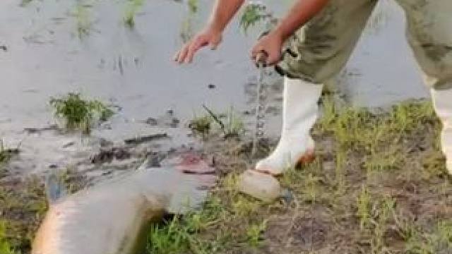 钓鱼人就是这么疯狂~