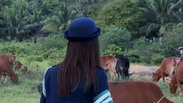 快乐的小动物们，有没有可能它们才是来享受世界的。
#治愈系风景 #乡野田间 #大自然 #治愈系