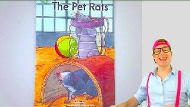 《The Pet Rats》| 英文绘本 #绘本故事 #趣味英语 #英语启蒙 #亲子教育