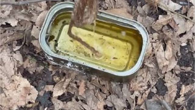 露营引火绳制作#露营报告 #野营 #户外 #露营技巧报告