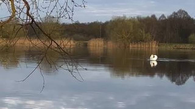 #人与自然万物和谐共处 #大自然的美无处不在 #万物有灵和谐共生