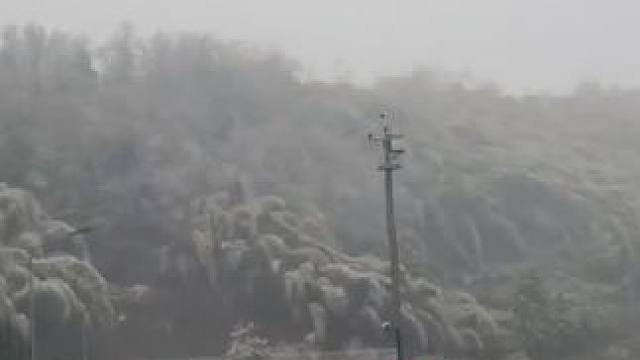 梦幻西游主编春节回家日记#梦幻西游创梦计划#梦幻西游#梦幻西游电脑版
