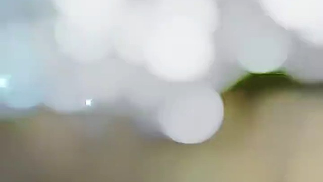 好运来，接着来，恭喜恭喜发大财！