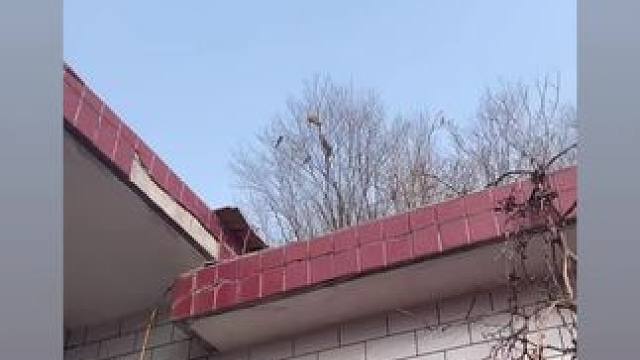 我发布了一个新视频，快来围观吧！