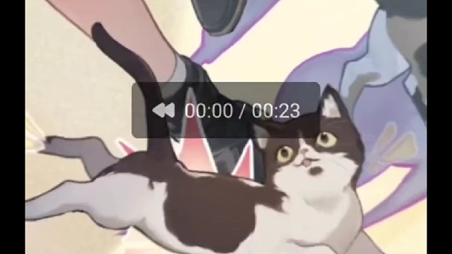 星穹美学速递——米沙