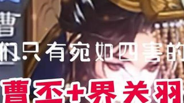 顶级坐牢组合…#三国杀