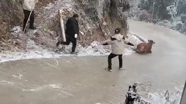 有人问牛上来了没有[捂脸]