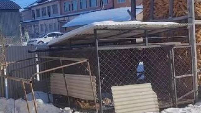 OK了家人们#过年