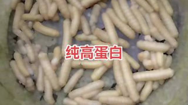 高蛋白好东西，有没有人喜欢吃的#谁知道这是什么 