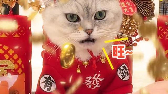传递福气，一起云摸猫。祝大家财旺福旺运气旺 #放一只招财猫在这里