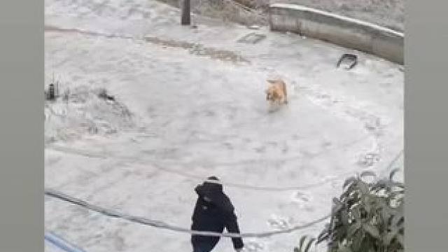 我发布了一个新视频，快来围观吧！