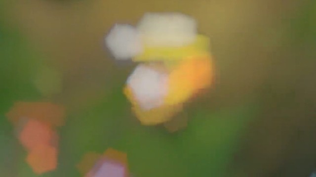 最后一击，完美躲避！