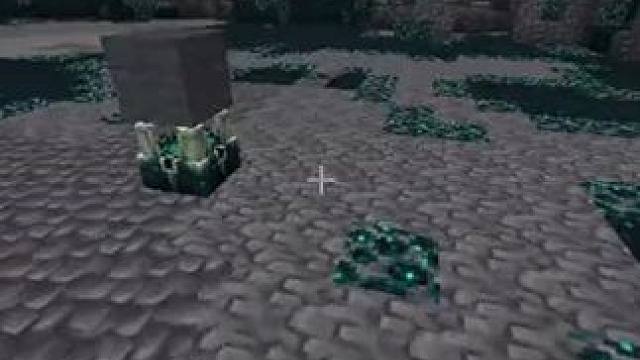 我发布了一个新视频，快来围观吧！