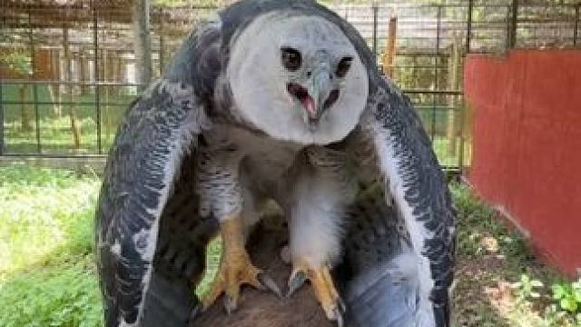 野生动物零距离~