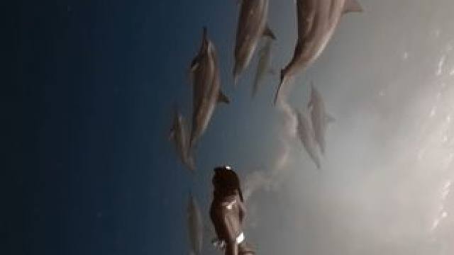 新春快乐呀宝们，海洋精灵送祝福啦
：BlueSoul摄影师
#随手拍带你看风景 #画面太美 #旅行随