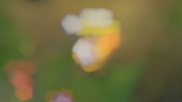 像我这样的菜鸡会反方向闪现