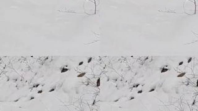 九峰山景区 #养在九峰山 .新年好!新年到，好事全到了!祝您及全家新年快乐!身体健康!工作顺利!吉祥