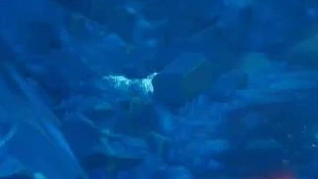 祝大家新年快乐#火炬之光无限 #火炬之光无限ss3赛季 #双生梦魇 #火炬之光无限过年好 #火炬之光