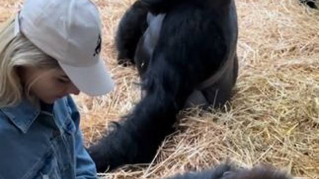 野生动物零距离~