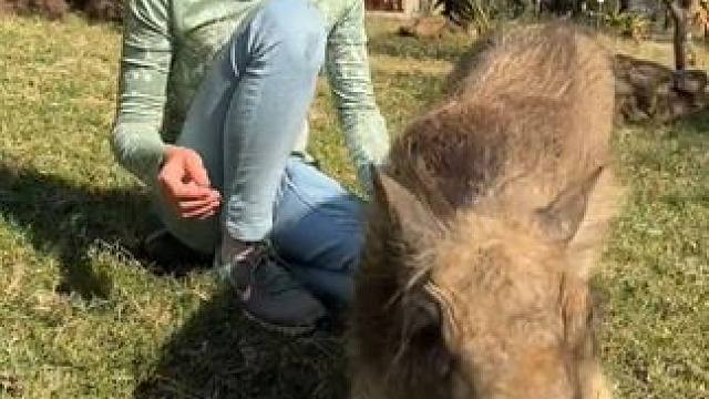 野生动物零距离~