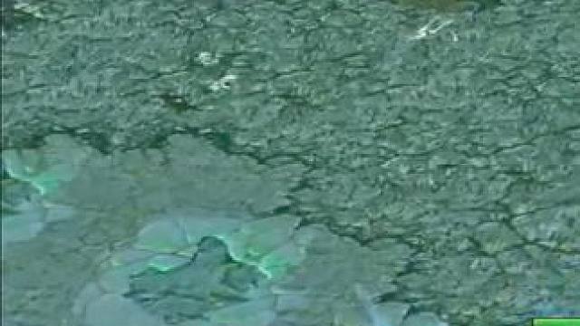 （一）大熊原声大碟，7分钟先锋盾+挑战人马，请各位打死我