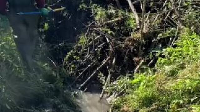 我发布了一个新视频，快来围观吧！