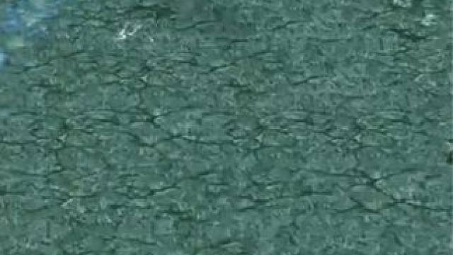 （三）大熊原声大碟，3-13莱恩。2-8火枪，2-8猛犸，灵魂守卫1v5站撸