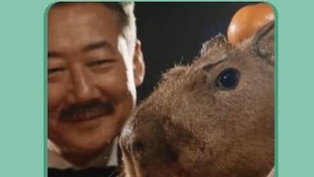 请问头上的橘子是 门主发放吗？#春节疯一下 #大家的春节