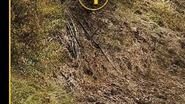 豆瓣评分9.4，超74%的人打出满分，烧脑烧到睡不着的神剧#暗黑第二季 #奇幻