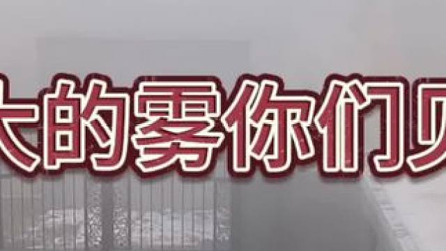 好久没见过这么大的雾了#梦幻西游 #梦幻西游电脑版 #梦幻西游创梦计划 #梦幻西柚