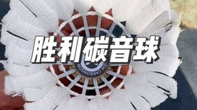 胜利碳音球，飞行稳定巨耐打，口碑性价比同价位无人能打，赶紧艾特你的球搭子给你买～#羽毛球 #胜利碳音