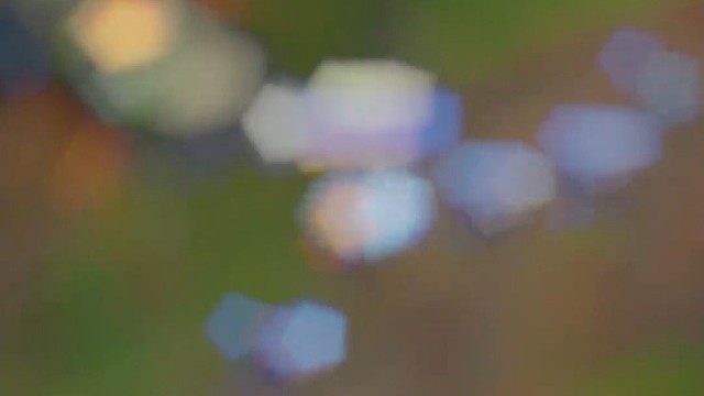 那年 我双手插兜 不知道什么是对手