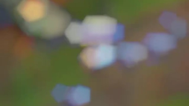 我在这尼，看你往哪里跑