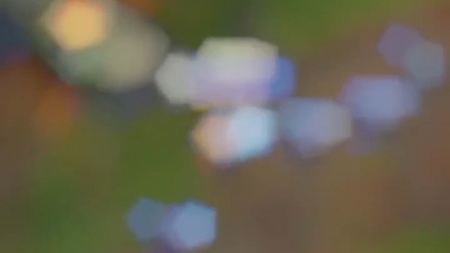 大过年的四连跪什么意思？