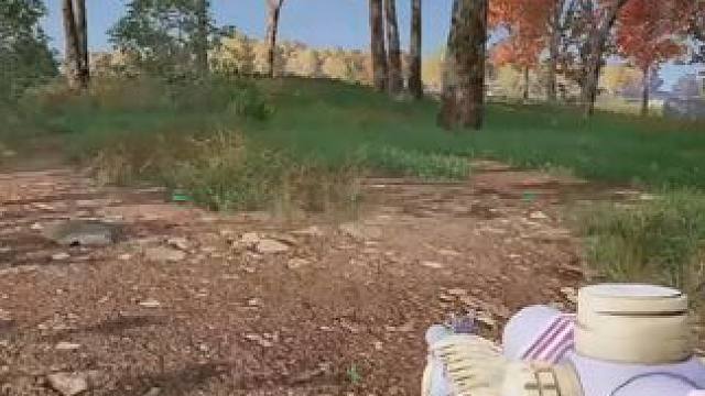 克雷祝您新春快乐！ 主打就是一个稳健！稳定的枪法，清醒的头脑与熟练的道具。祝大家龙年行运，多多来看直