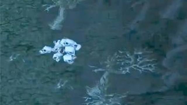 （三）大熊原声大碟，神装骷髅王4v5