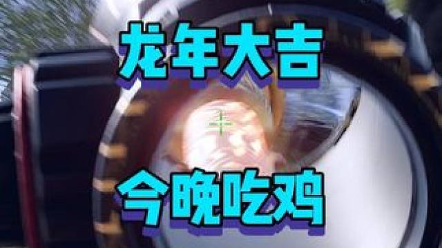 大过年的必须装一下 #2024鸡斯卡星火计划 #龙年第一鸡