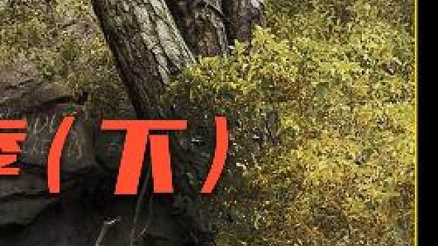 豆瓣评分9.4，超74%的人打出满分，烧脑烧到睡不着的神剧#暗黑第二季 #奇幻