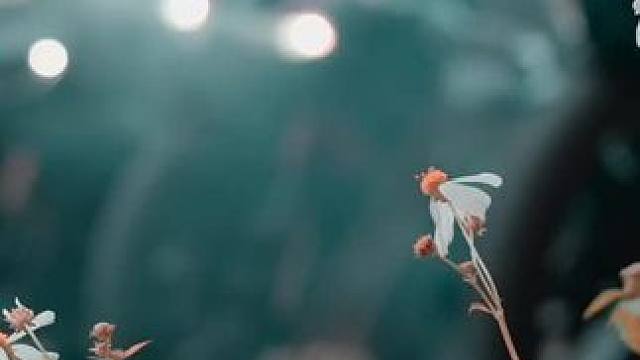 我赌你们没有我快乐#机车 #压弯 #感觉至上