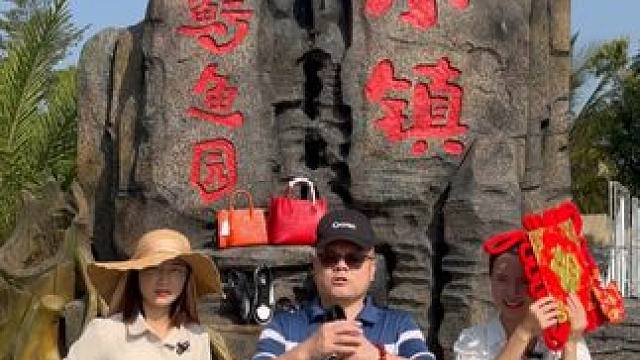 新年新气象，万事皆新！欢迎大家来鳄鱼小镇玩！ 也希望大家有空的时候来直播间看看#新年祝福 #鳄珍鳄鱼